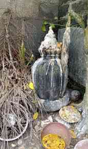 Chief Ifatunji Ifadokun picture